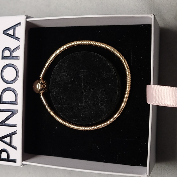 Pandora Jewelry - Pandora Moments Snake Chain Bracelet